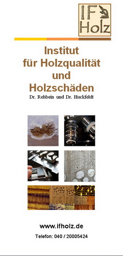 Flyer zum herrunterladen -  700 KB!