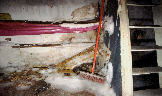 Kellerraum mit Problembewuchs, weißes Mycel an Boden und Wand