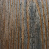 Bluepilze an Lrchenholz einer Fassade